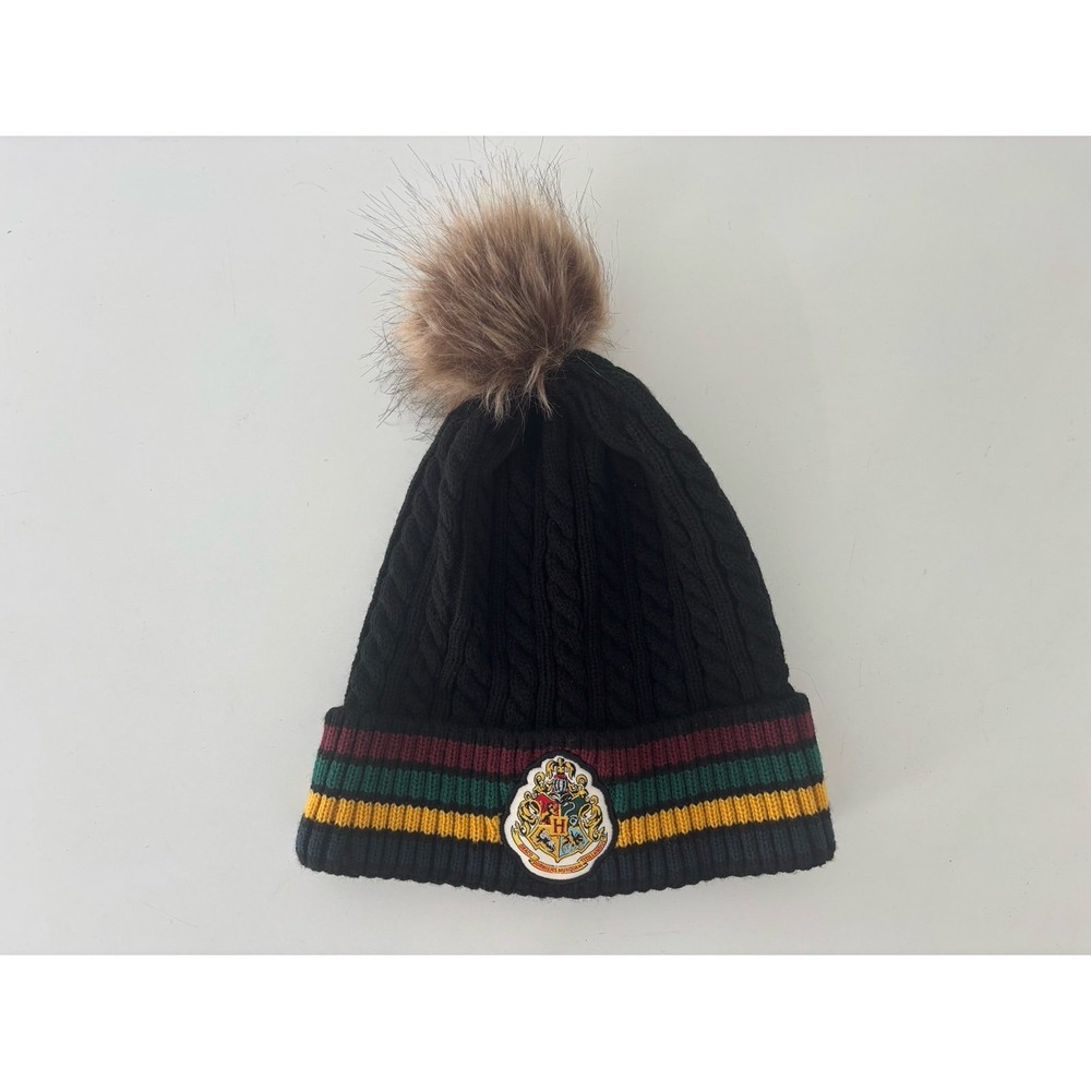 Harry Potter Hogwarts Knit Hat (NWOT)